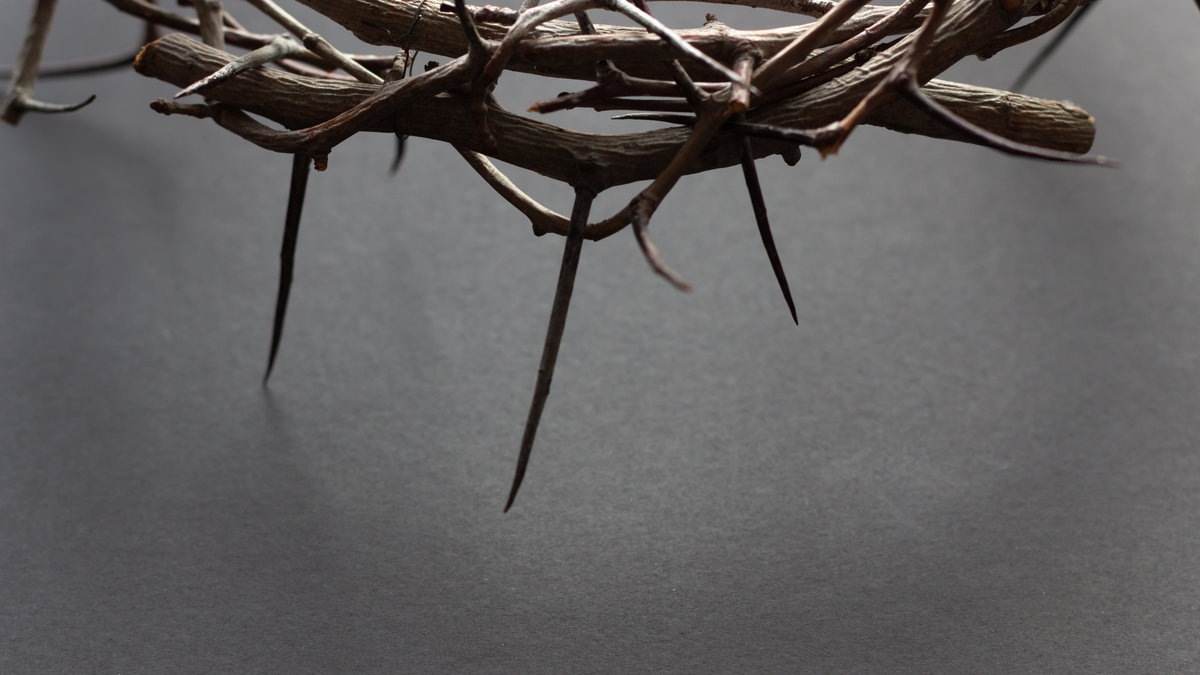 crown-thorn-shutterstock_1919040326.jpeg