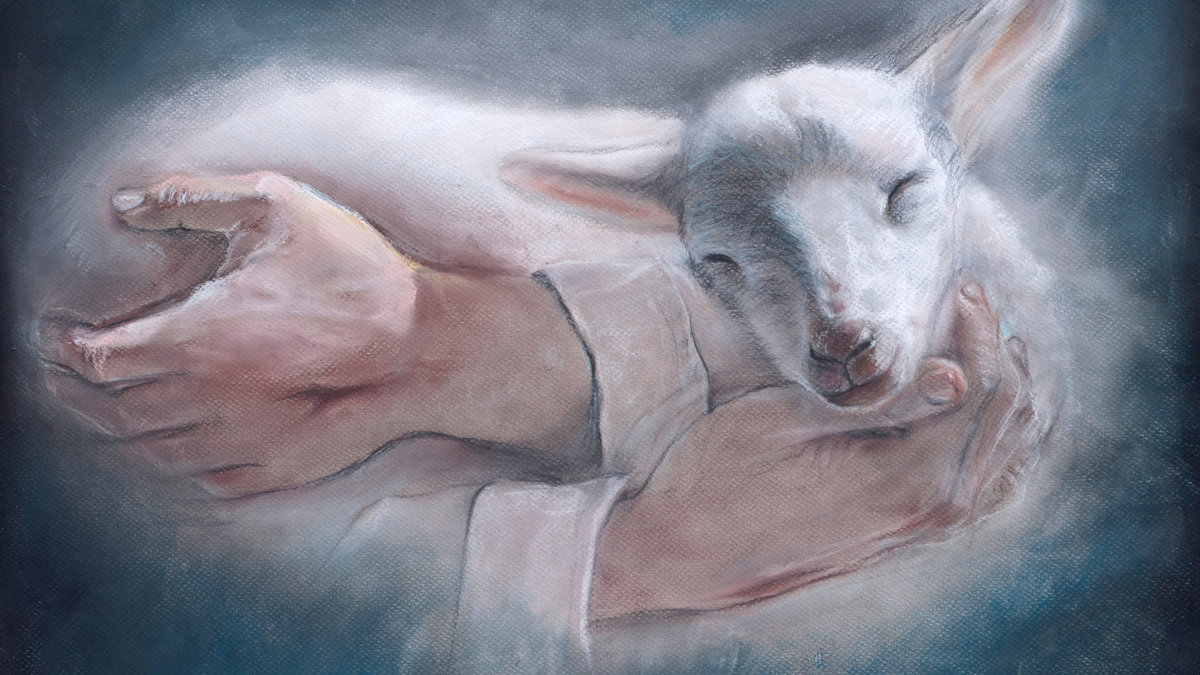SHEPHERD