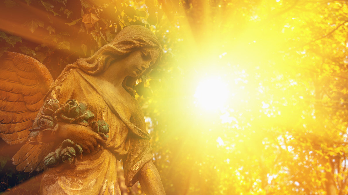 angel y sol