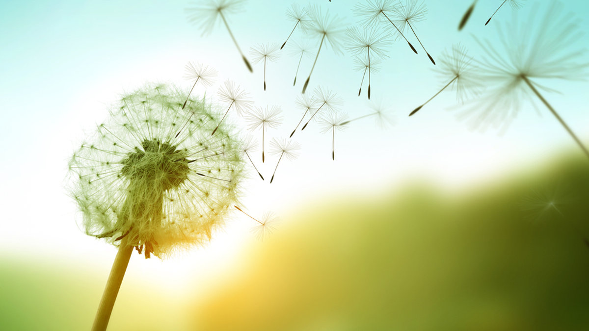 shutterstock_675368233.jpg