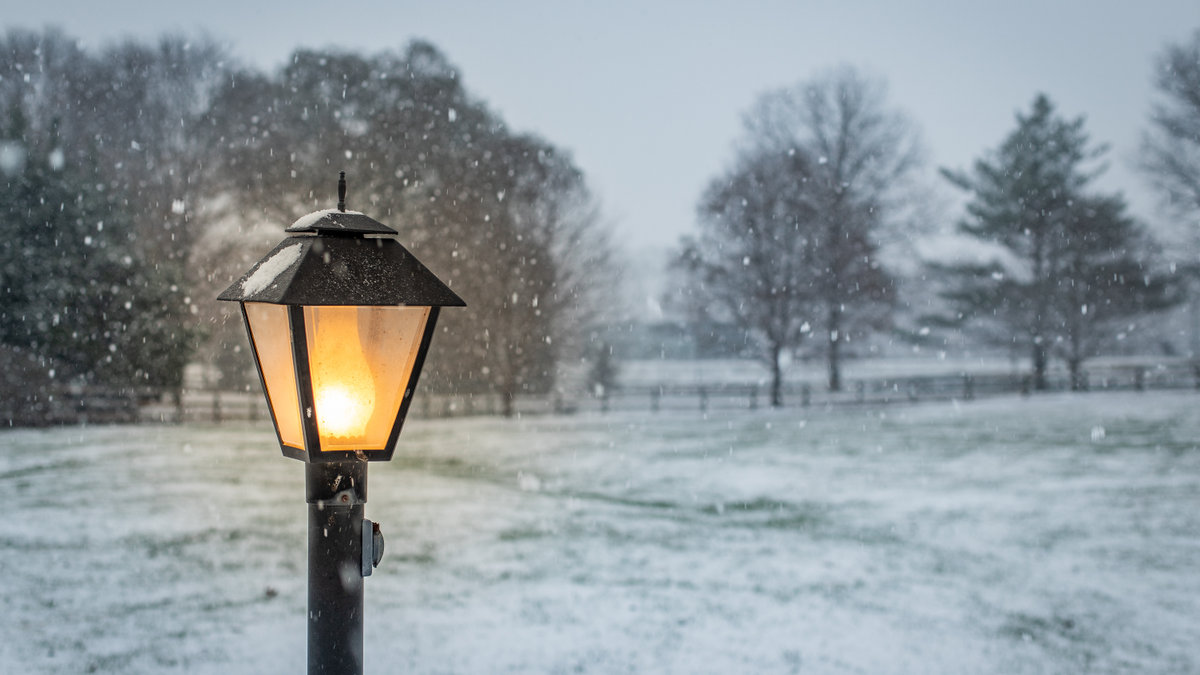 Narnia
