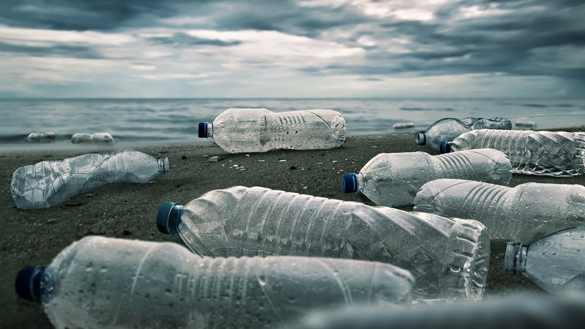 bouteilles-pollution-mer-shutterstock