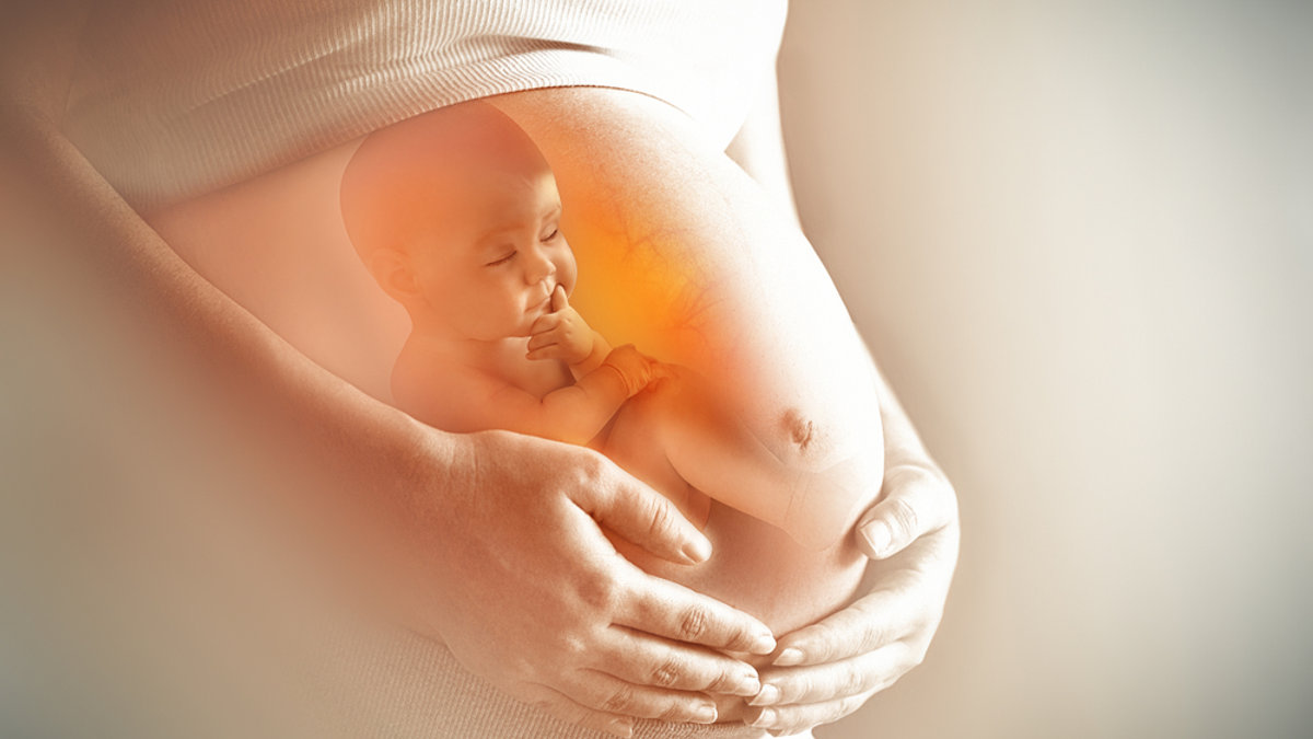 baby in womb, mother’s hands