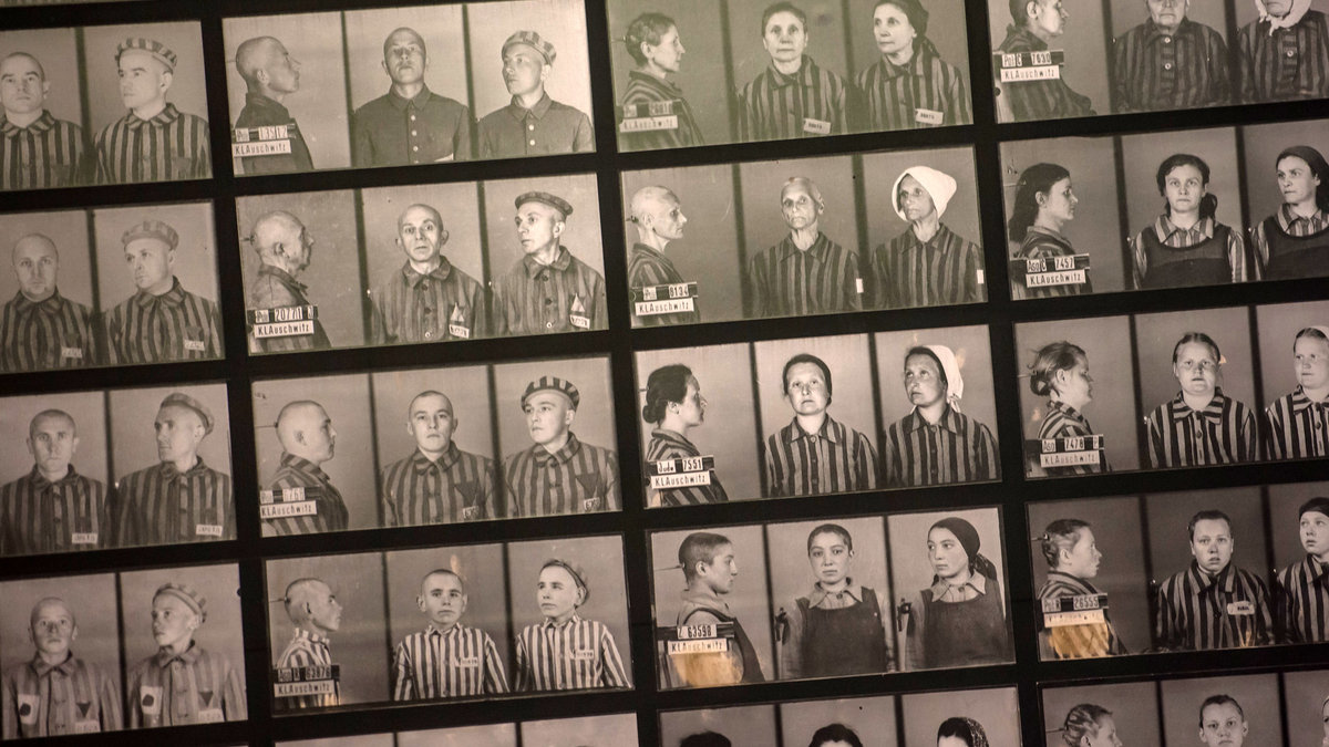 fotografie więźniów w muzeum Auschwitz wykonane przez Wilhelma Brasse