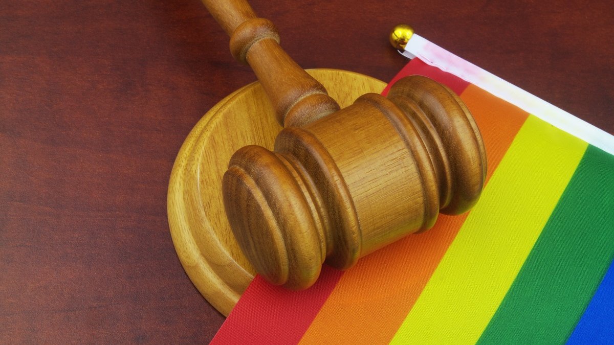 Trans flag with gavel, law