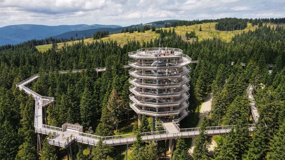 Pot med krosnjami Pohorje Slovenia