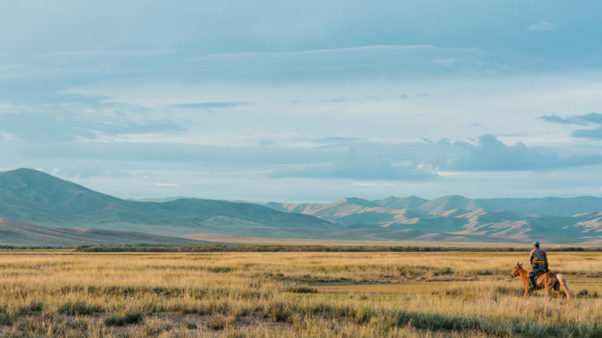 Steppes Mongolie