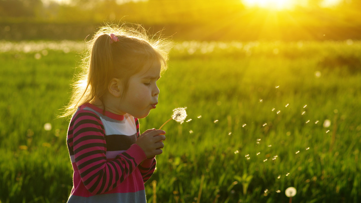 Nina-soplando-dientes-de-leon-al-aire-libre-en-el-campo-de-primavera-shutterstock_634694684