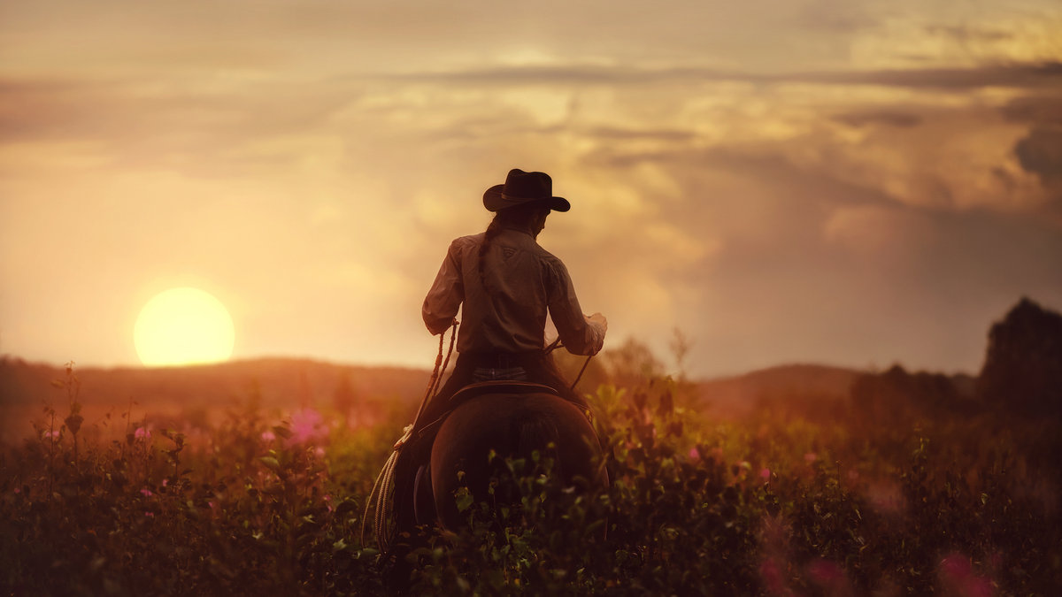 rancher man horseback sunset field