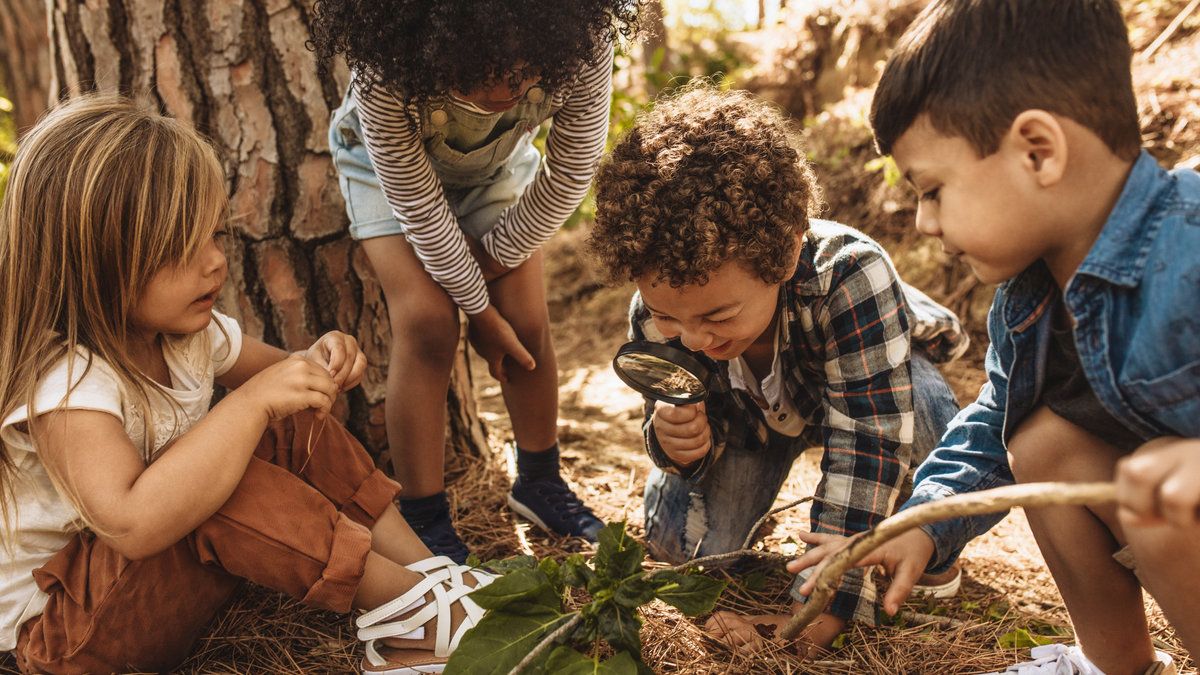 children-forest-nature