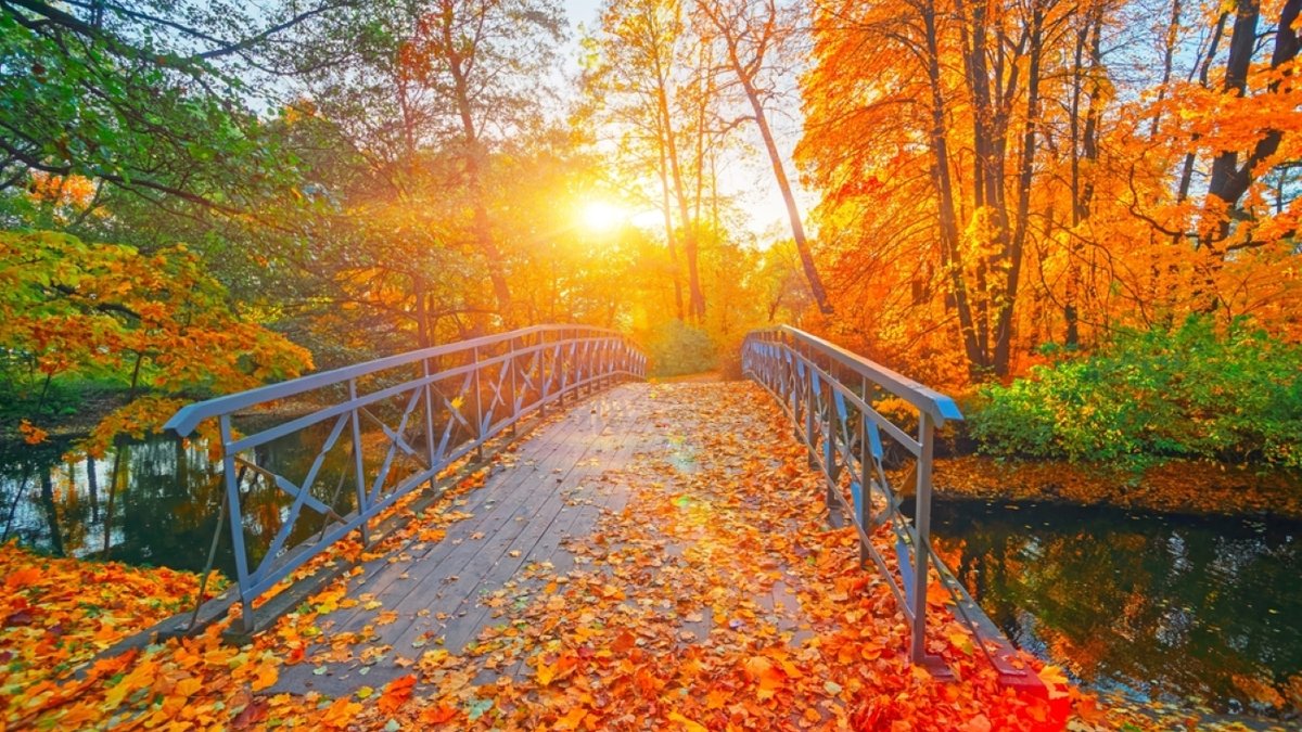 Autumn nature landscape