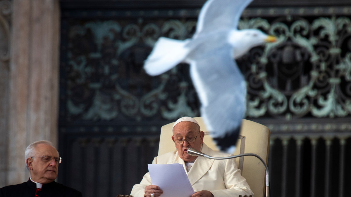 Papa Francisco