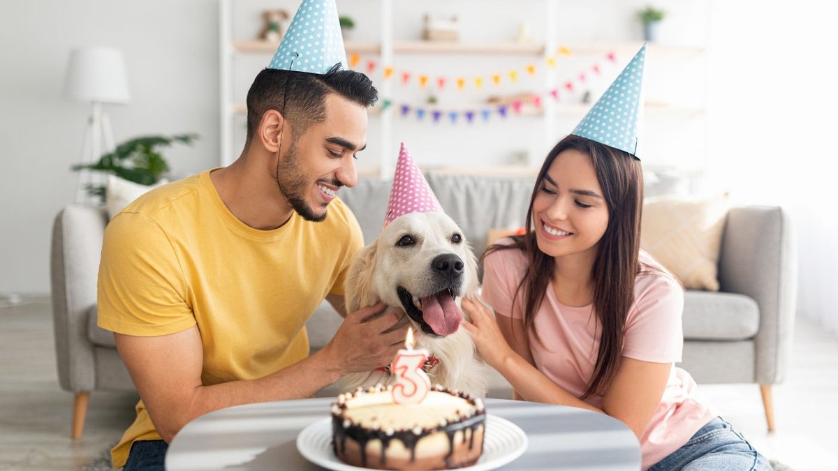 Adopcja psa - czy to dobry pomysł?