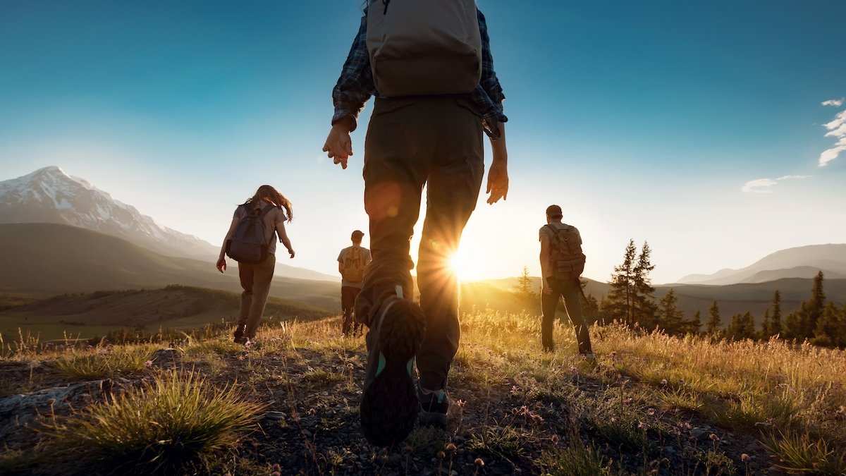 shutterstock_2049380855.jpg