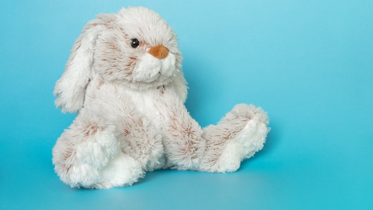 toy child stuffed animal rabbit bunny