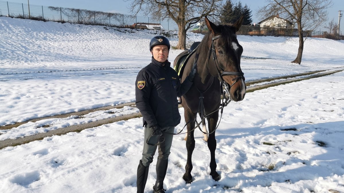 Postaja Konjeniske policije Ljubljana