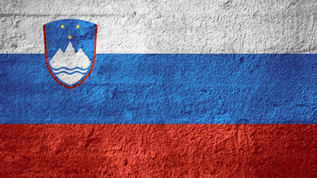flag of Slovenia or Slovenian banner on rough texture