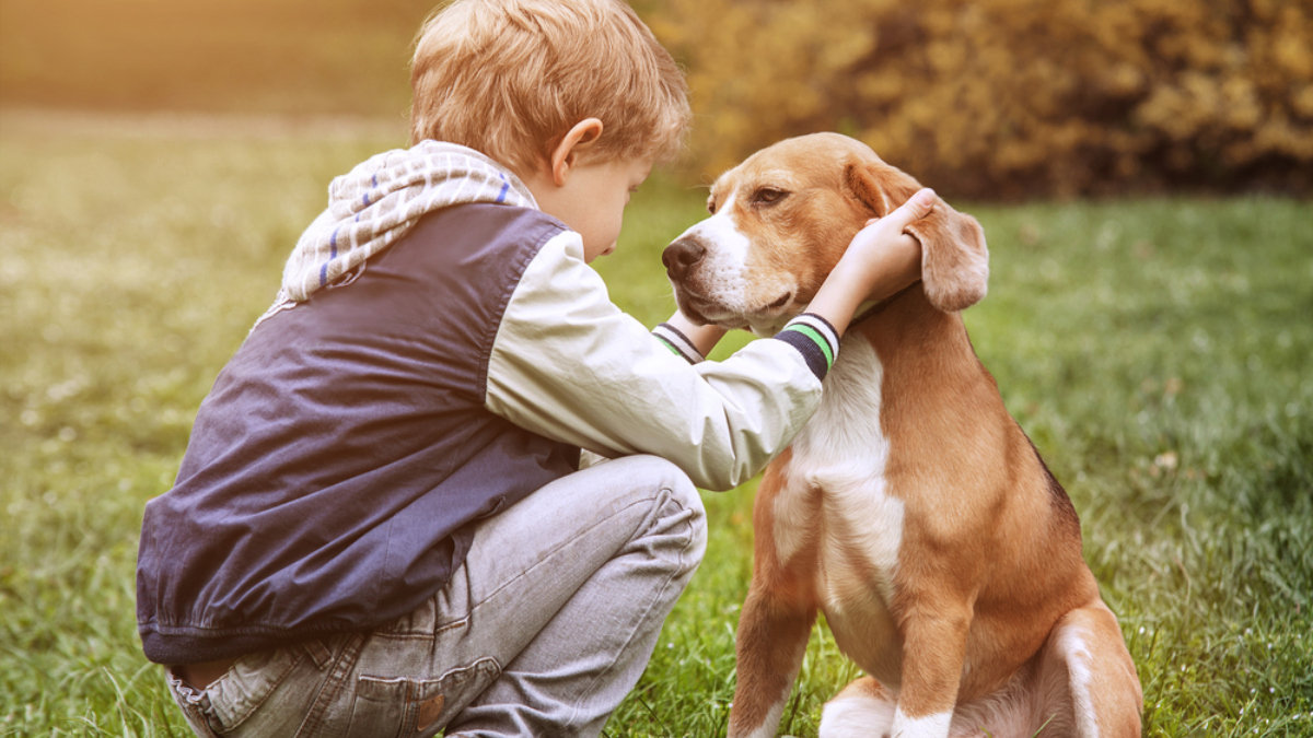 Boy and dog