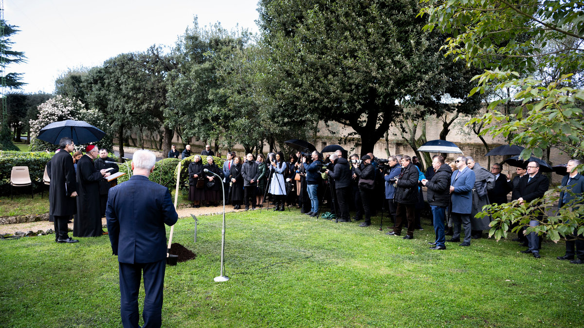 in the Vatican Gardens, a Grafted Apple Tree by the blessed Józef Ulma.