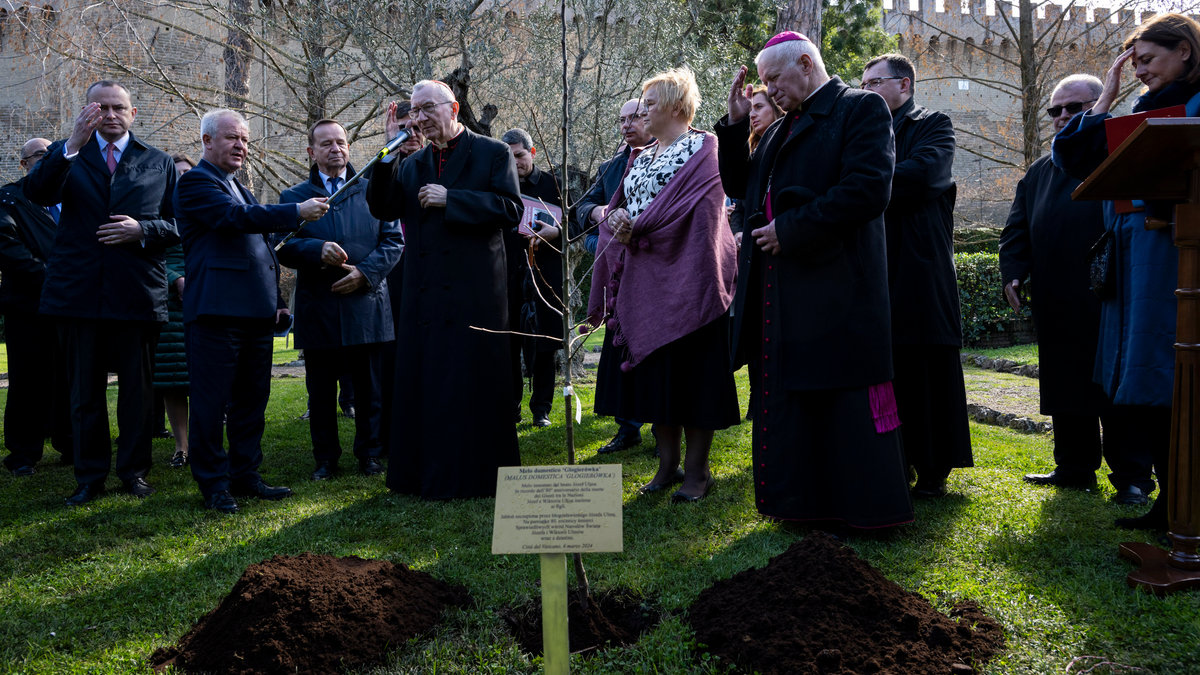 in the Vatican Gardens, a Grafted Apple Tree by the blessed Józef Ulma.