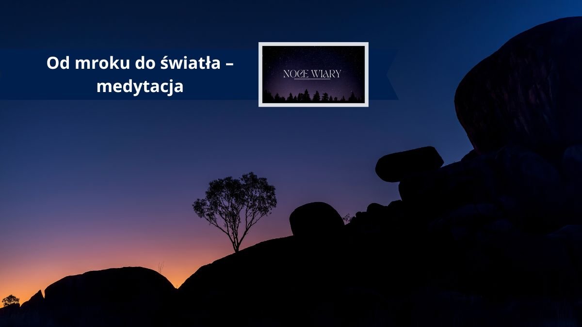 Krzew na nocnym tle