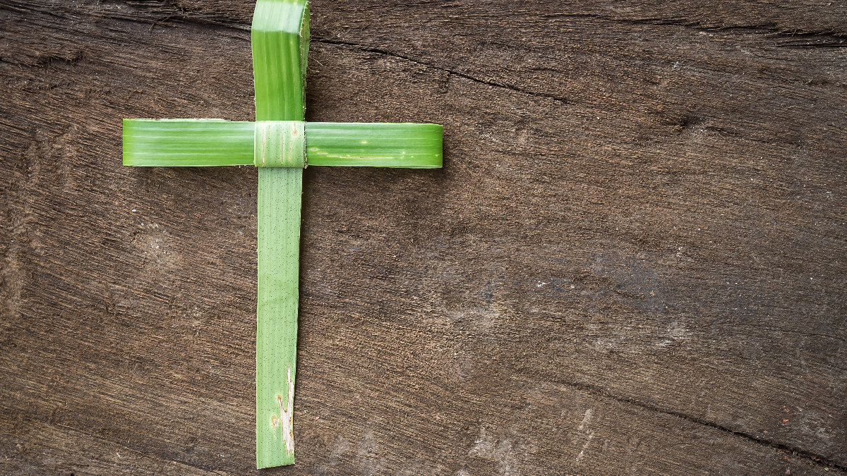 palm-cross-