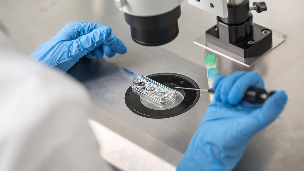FIV-PROCREATION-LABORATOIRE-shutterstock
