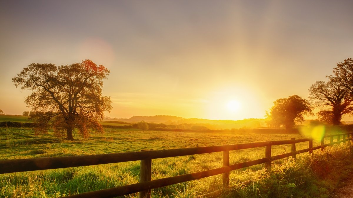 Glorious sunrise over grassy rural landscape