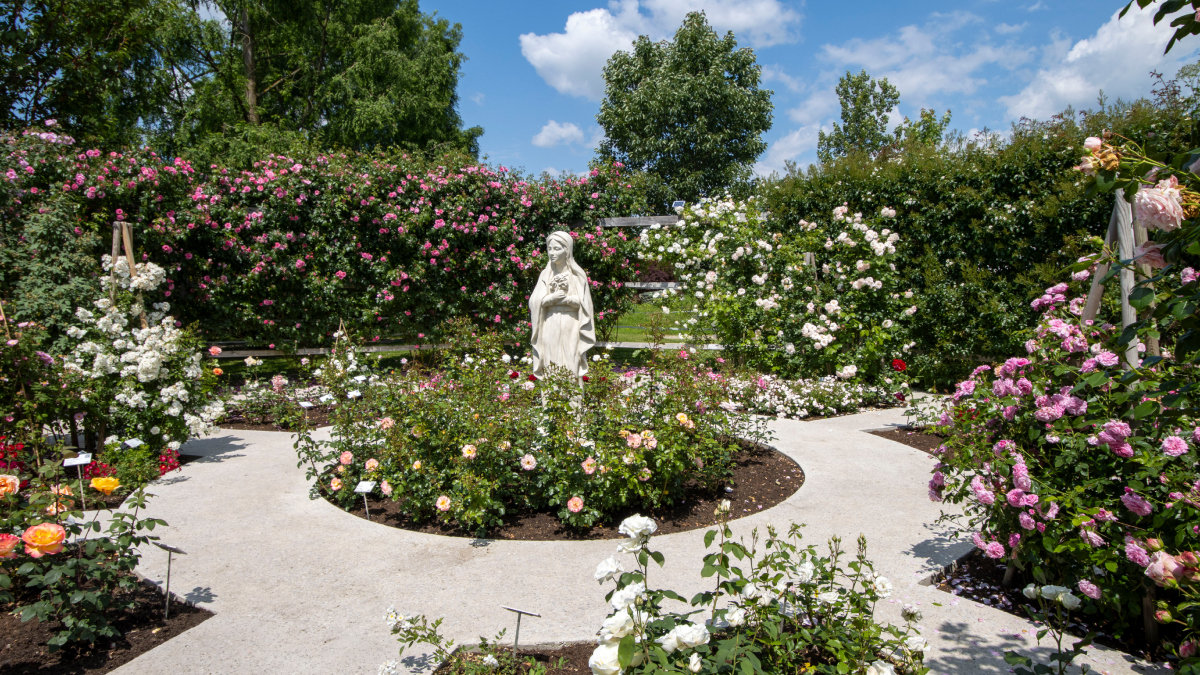 Arboretum-Volcji-Potok-naslovna.jpg
