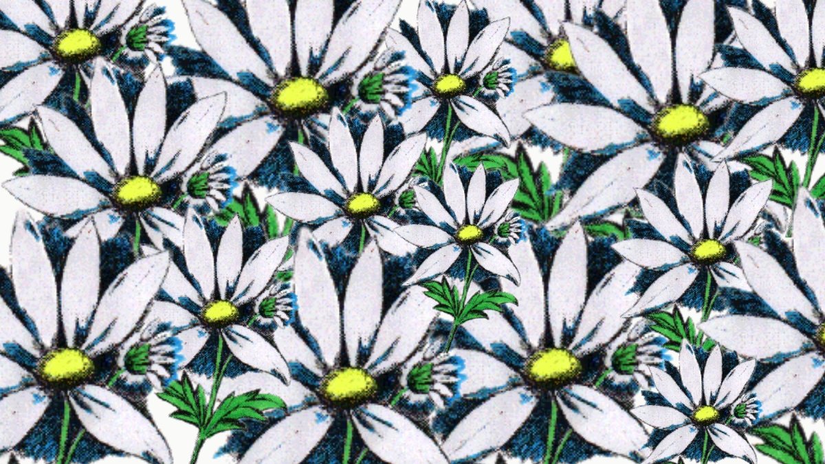 Mouvement-des-marguerites-1.jpg