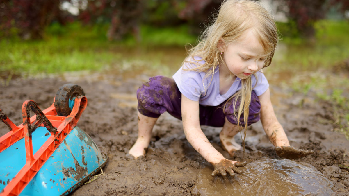 shutterstock_1347413591-1.jpg