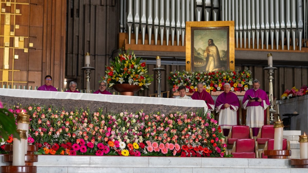 GUADALUPE FLEURS