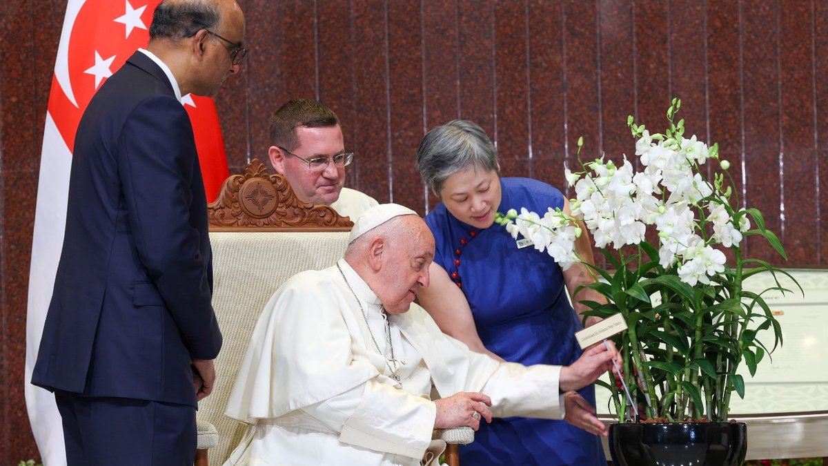 Pape orchidée singapour
