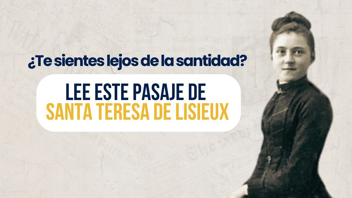 Portadas-videos