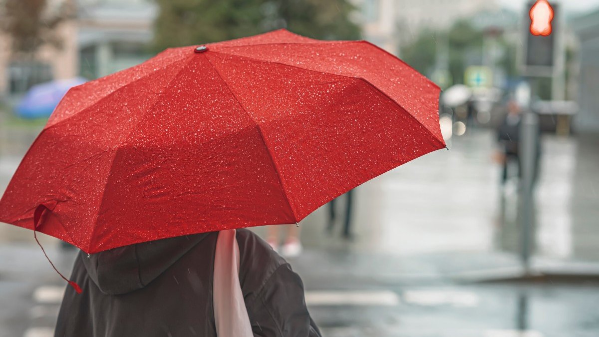 PLUIE.jpg