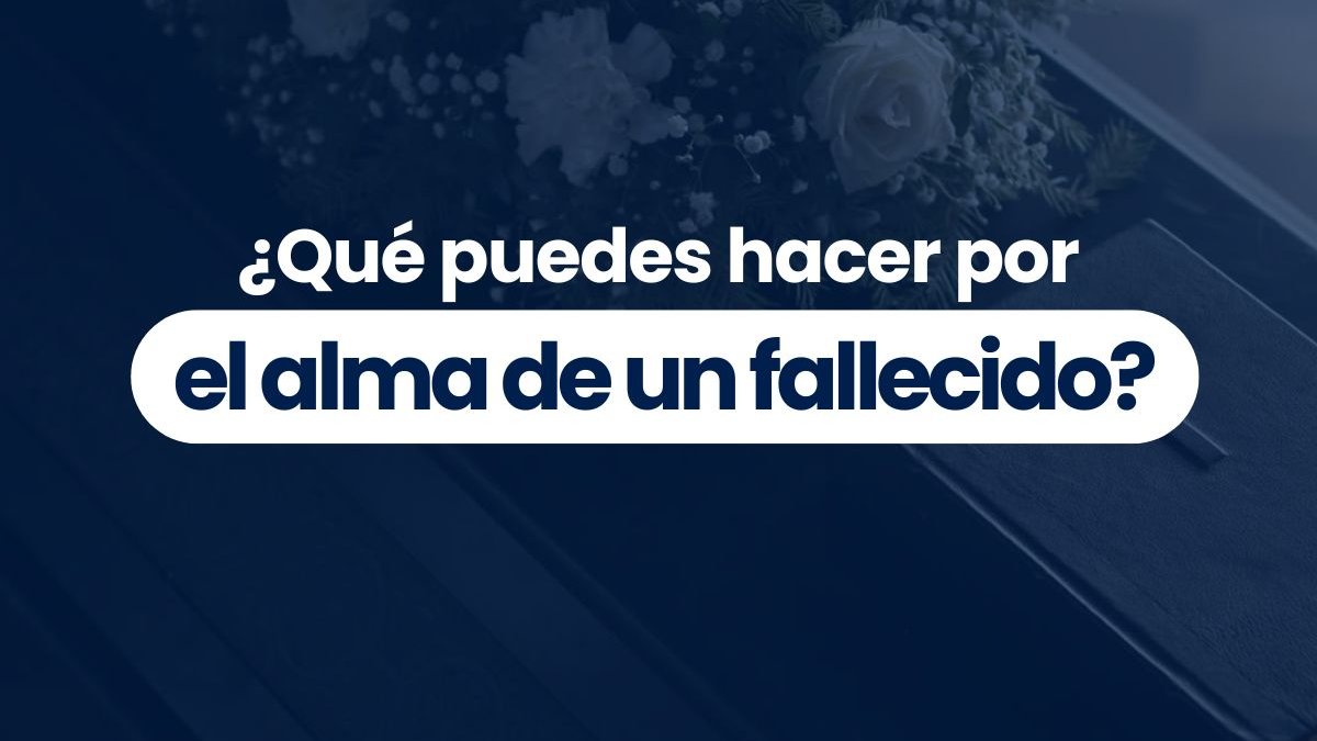 Portadas-videos