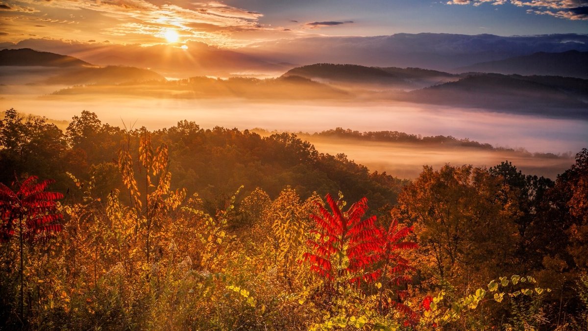 shutterstock_2467421593-Duzy.jpeg