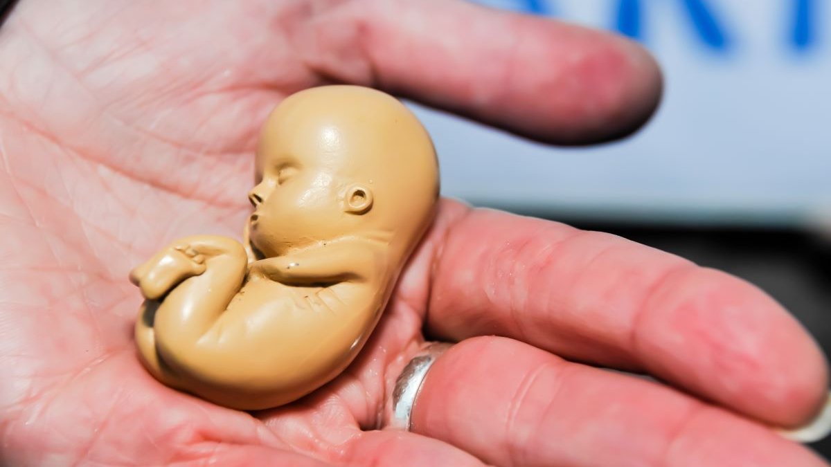 aborto provida