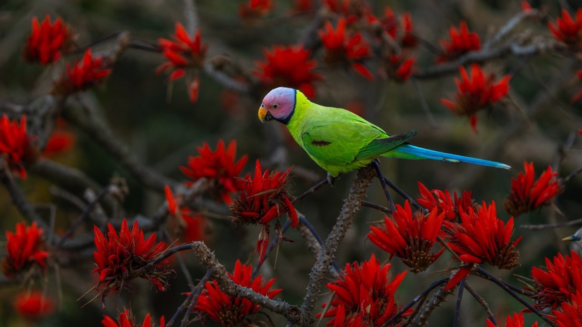 shutterstock_2455057949-Duzy.jpeg