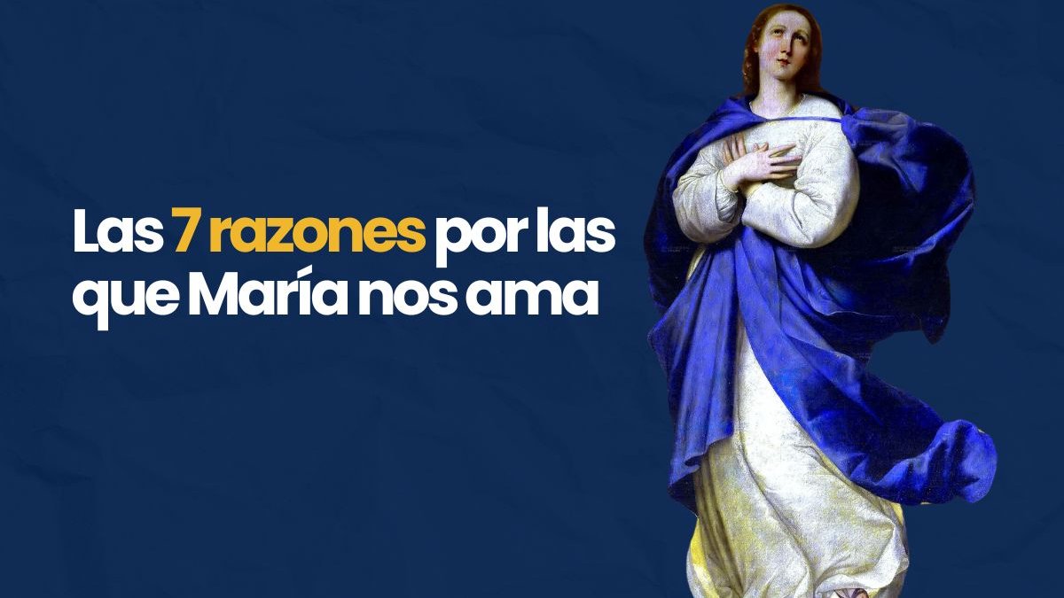 Portadas-videos
