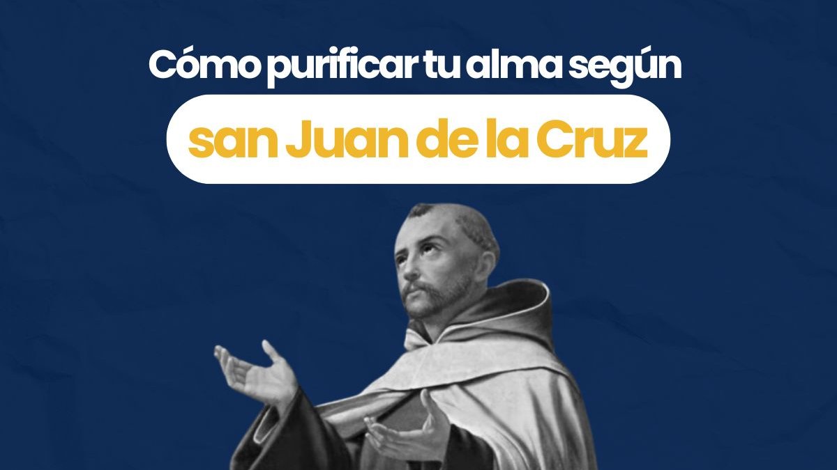 Portadas-videos