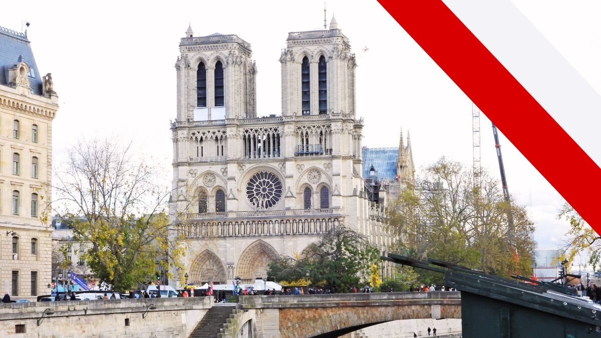 Katedra Notre-Dame 22 listopada 2024