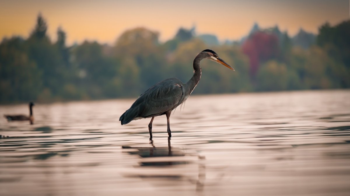 shutterstock_2541168913-Duzy.jpeg