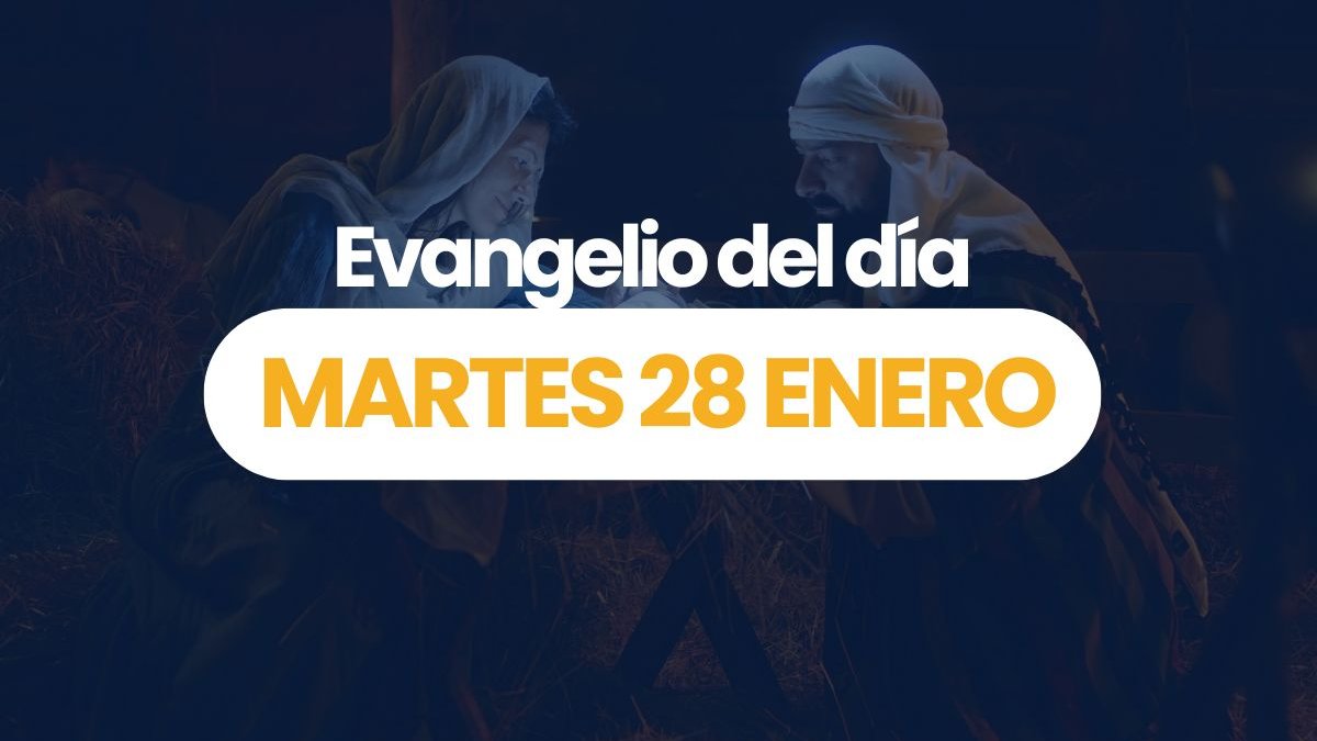Portadas-videos