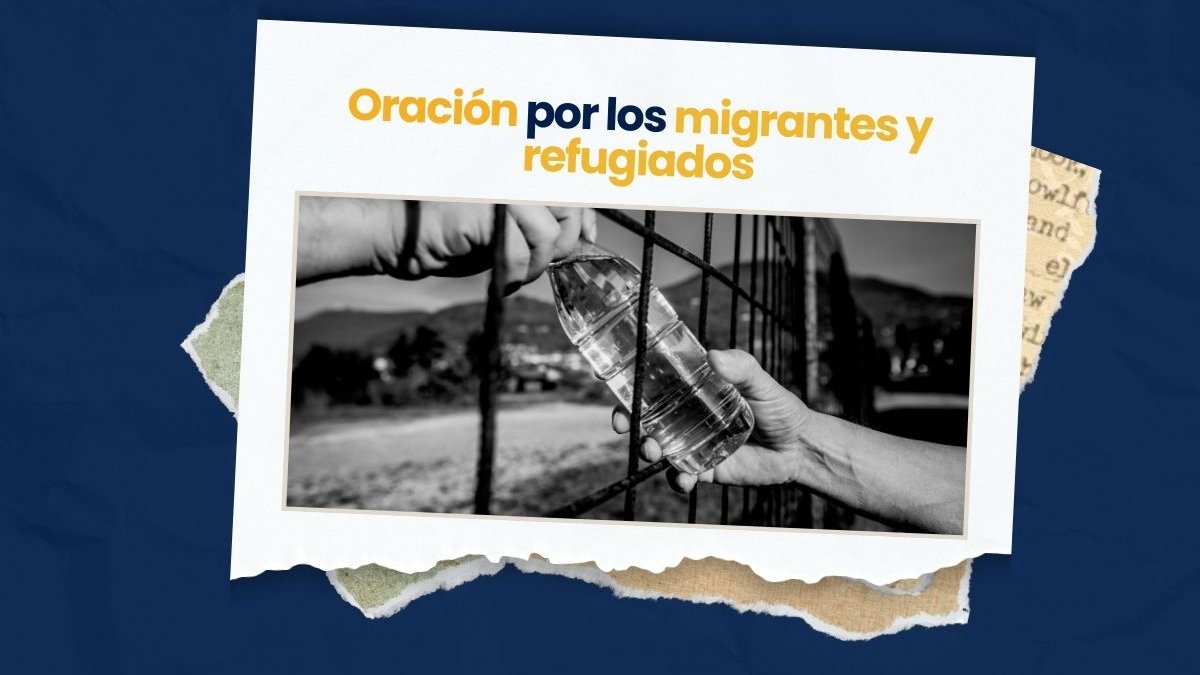 Portadas-videos