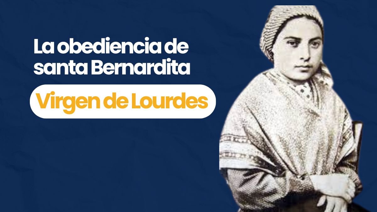 Portadas-videos