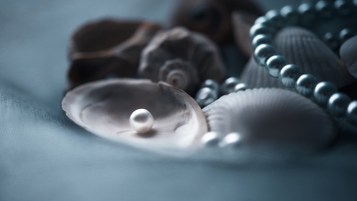 pearls-shells.jpg