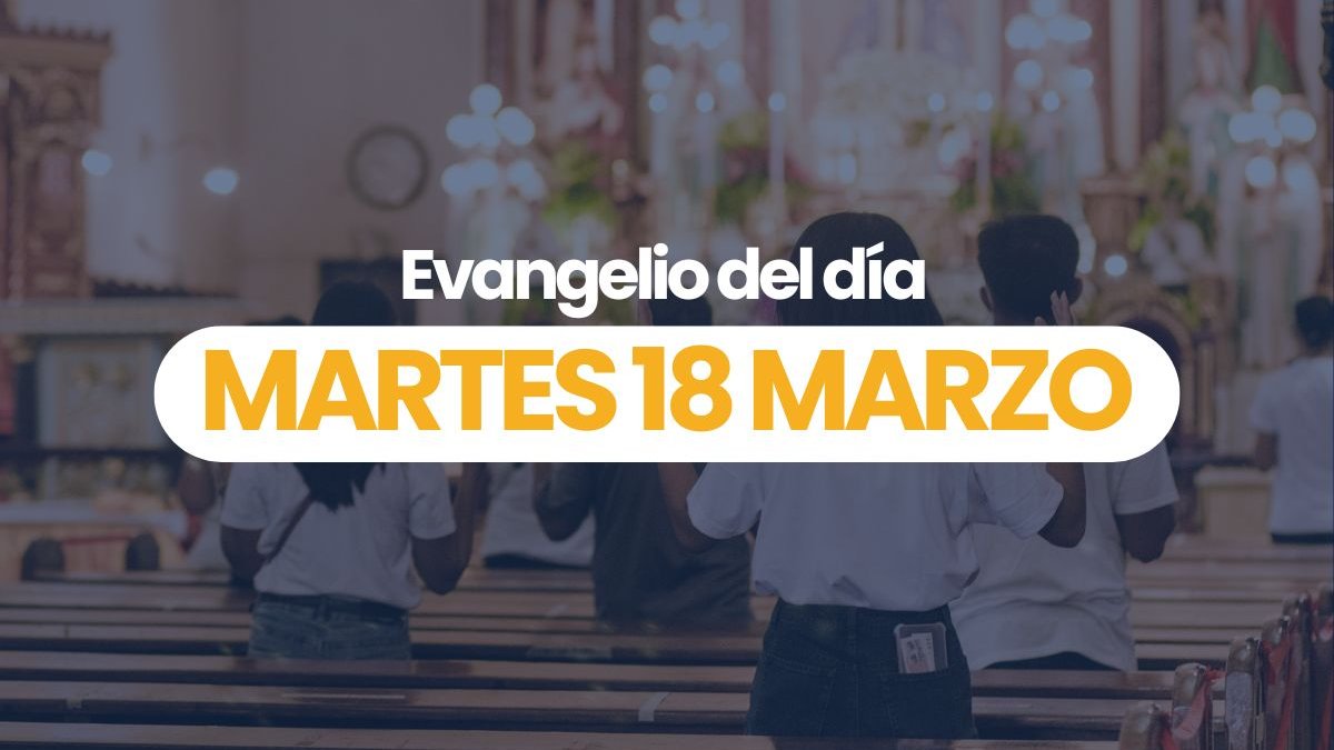 Videos-Evangelios