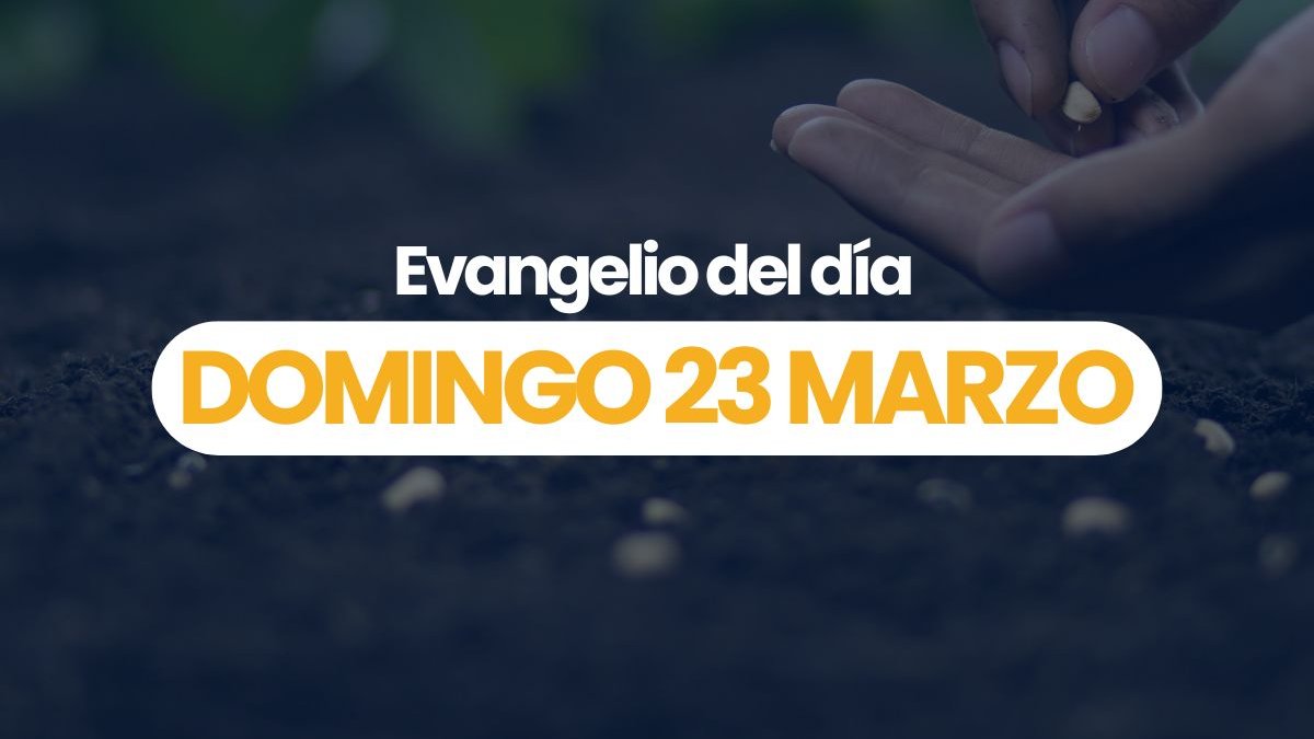 Videos-Evangelios-
