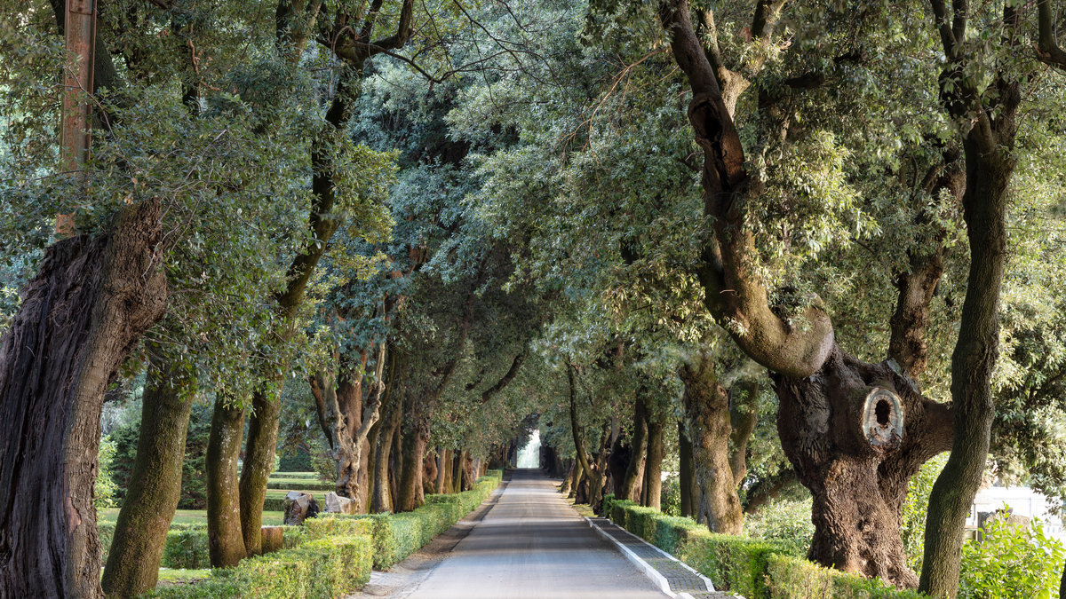 Borgo-Laudato-Si-.jpg
